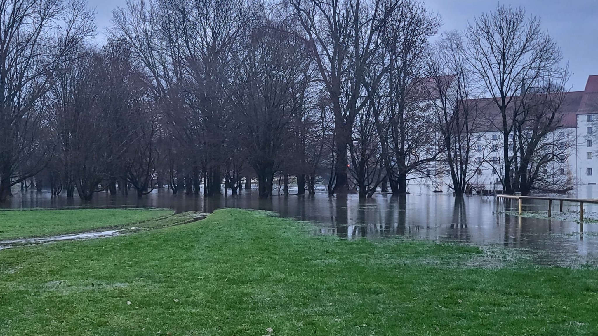 Meldestufe zwei an der Donau in Straubing: Land- und forstwirtschaftliche Flächen sind überflutet