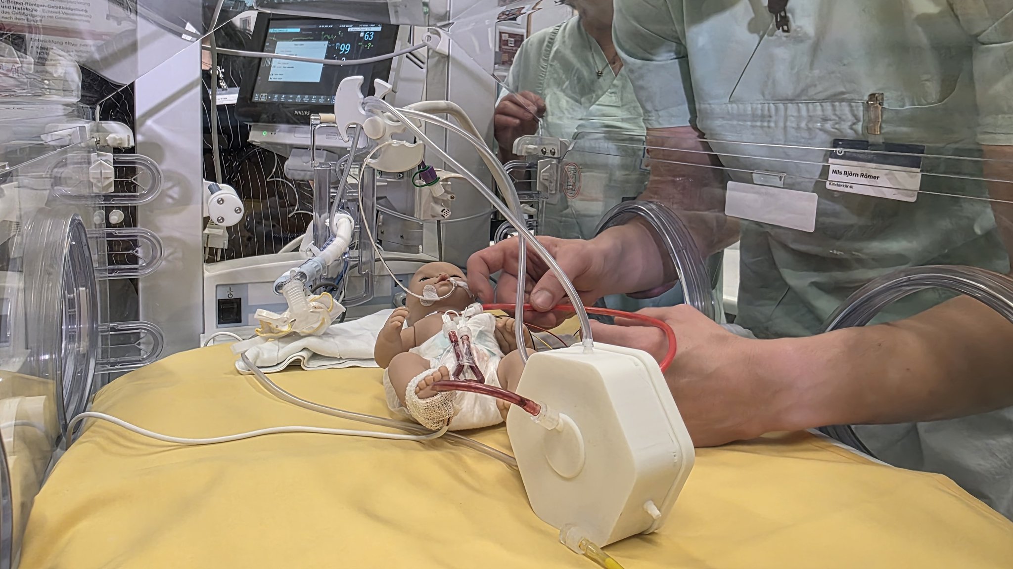 Die künstliche Plazenta besteht aus einem sechseckigen Kasten und liegt in einem Inkubator. | Bild: BR / Ulrike Nikola Die künstliche Plazenta besteht aus einem sechseckigen Kasten und liegt in einem Inkubator.