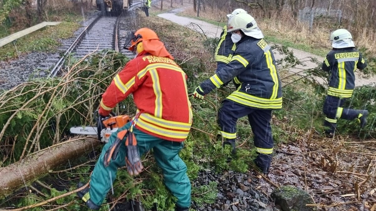 Einsatzkräfte der Feuerwehr räumen einen umgestürzten Baum vom Gleis (Symbolbild)