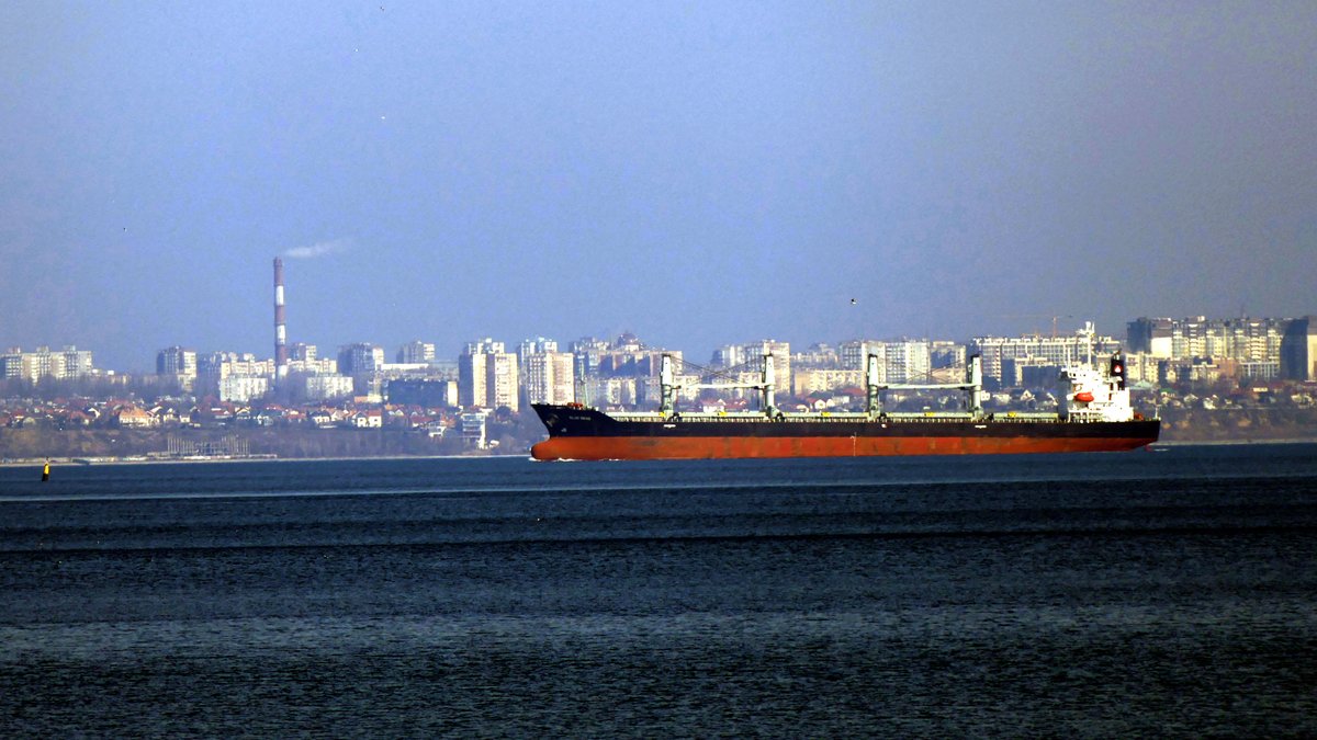 Containerschiff vor Odessa