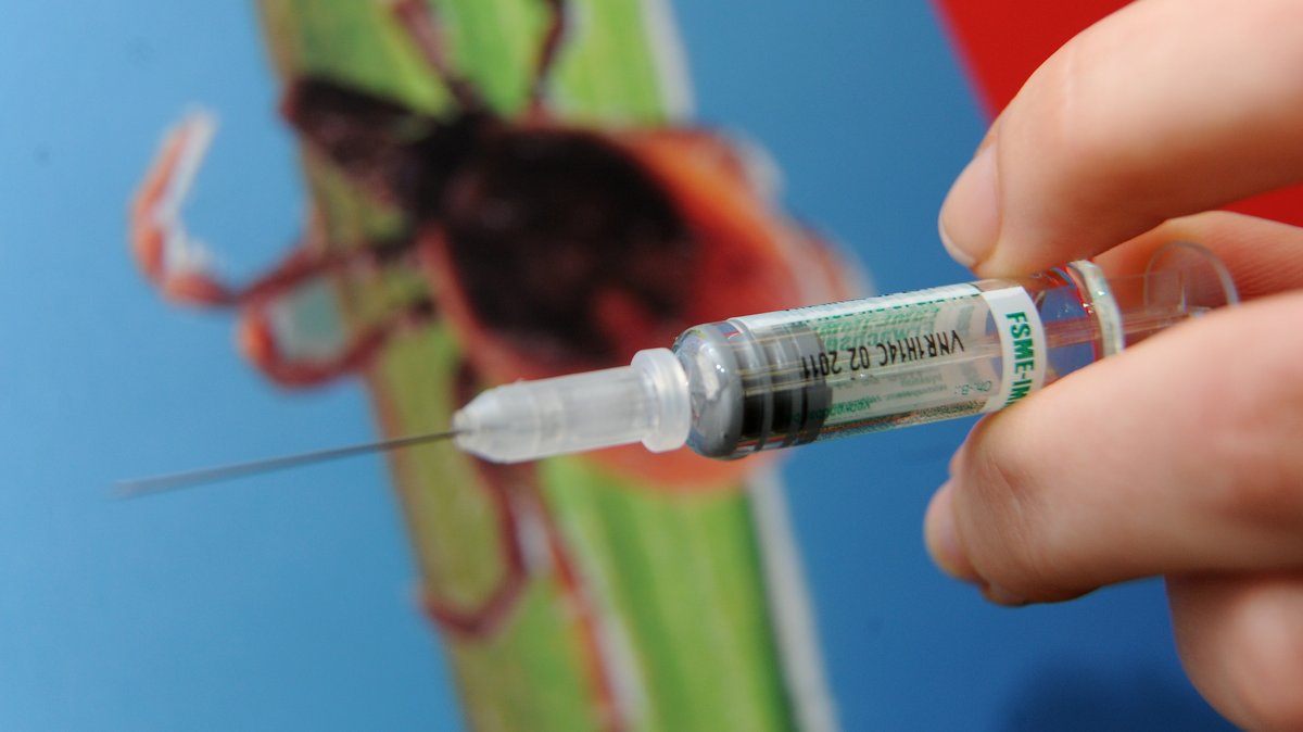 Krank durch Zecken: Darum ist eine Impfung gegen FSME wichtig