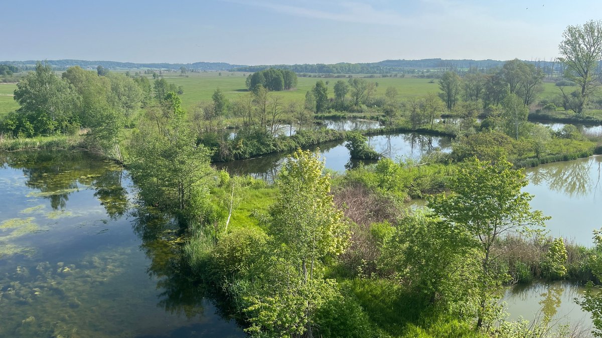 Auf dem Bild sind fünf Teiche zu sehen, dazwischen sind grüne Bäume und Stauden. Der Teich ganz links ist voller Algen, der vorderste wirkt vom Wasser her eher trüb. Dahinter sind Wiesen und Berge sichtbar. Es wirkt sehr idyllisch.