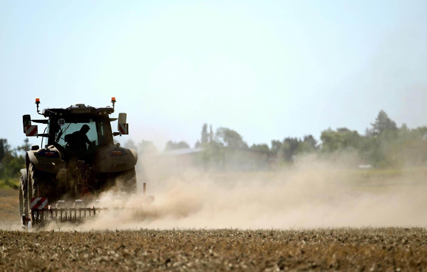 Bauernverband erwartet schlechte Ernte und fordert "Sofortpaket"