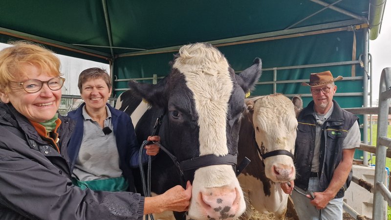 Sollen Demenzkranken helfen: Die Ochsen Blessi und Adam aus Zusmarshausen | Bild: BR/Eva Heime Sollen Demenzkranken helfen: Die Ochsen Blessi und Adam aus Zusmarshausen