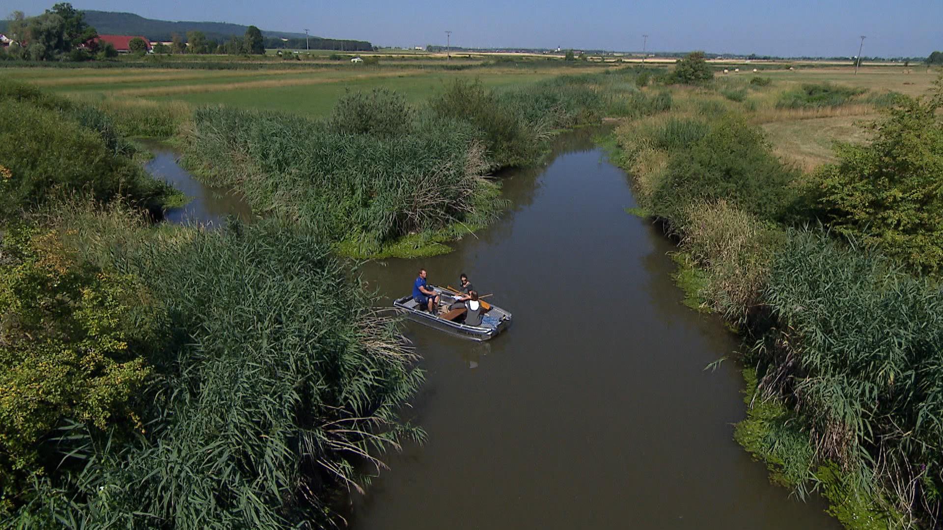 Niedrigwasser Hilfe für Flüsse