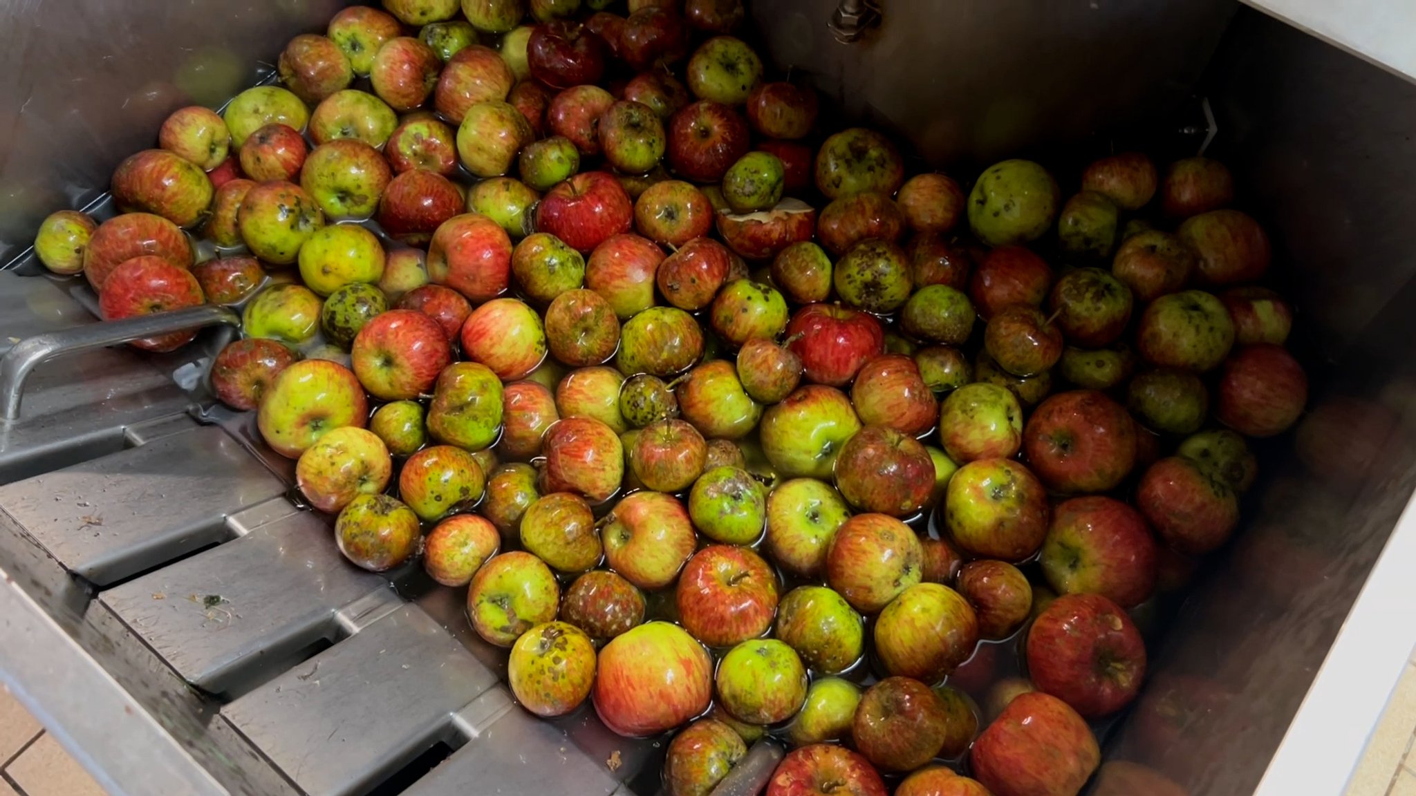 Äpfel werden vor dem Häckseln in der Obstpresse gewaschen