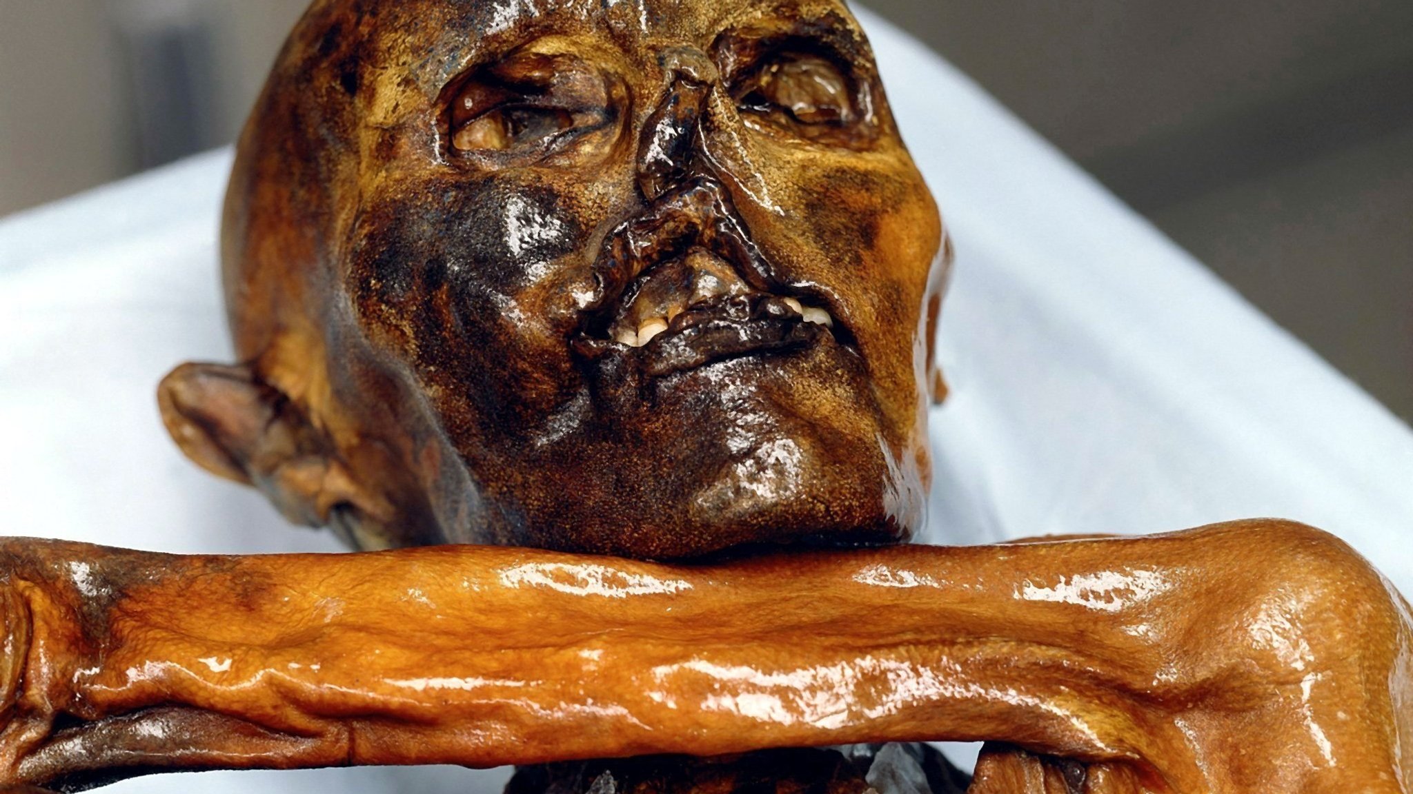 Ötzi wurde vor 33 Jahren in den Ötztaler Alpen zufällig entdeckt.