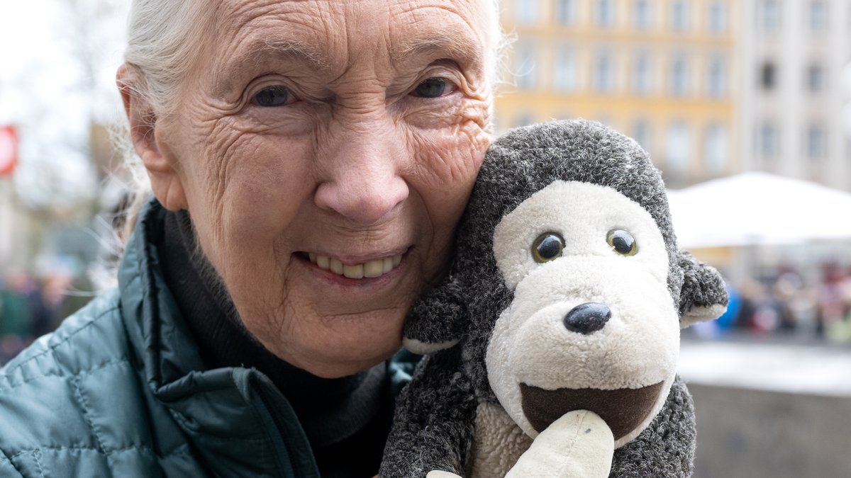 Jane Goodall im Jahr 2023 mit einem Stoffschimpansen