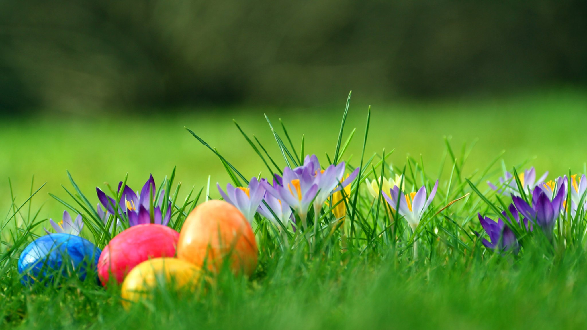 Aprilwetter zu Ostern: Sonne, Wolken, Regen und wieder Sonne