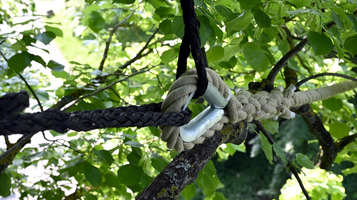 Ein Seil ist in einem Baum gespannt. 