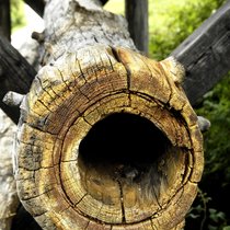 Sole, Salz und Holz - Die erste Pipeline stand in Bayern | Bild: picture-alliance/ ZB | Karlheinz Schindler
