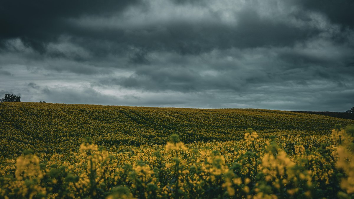 Regen, Wind, Gewitter: So ungemütlich wird das Bayern-Wochenende