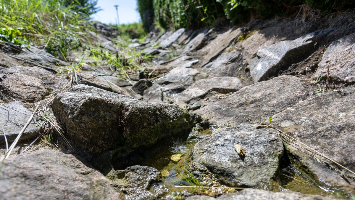 Die Regenrinne einer Neu-Ulmer Straße ist mit losen Steinen gesichert, damit das Regenwasser leichter ins Grundwasser gelangt.