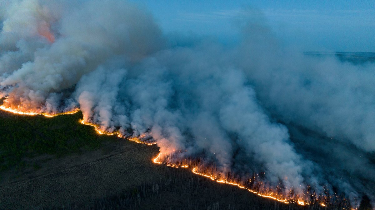 Eine Aufnahme aus der Vogelperspektive zeigt Waldbrände in der nordöstlichen Region von British Columbia, Kanada.