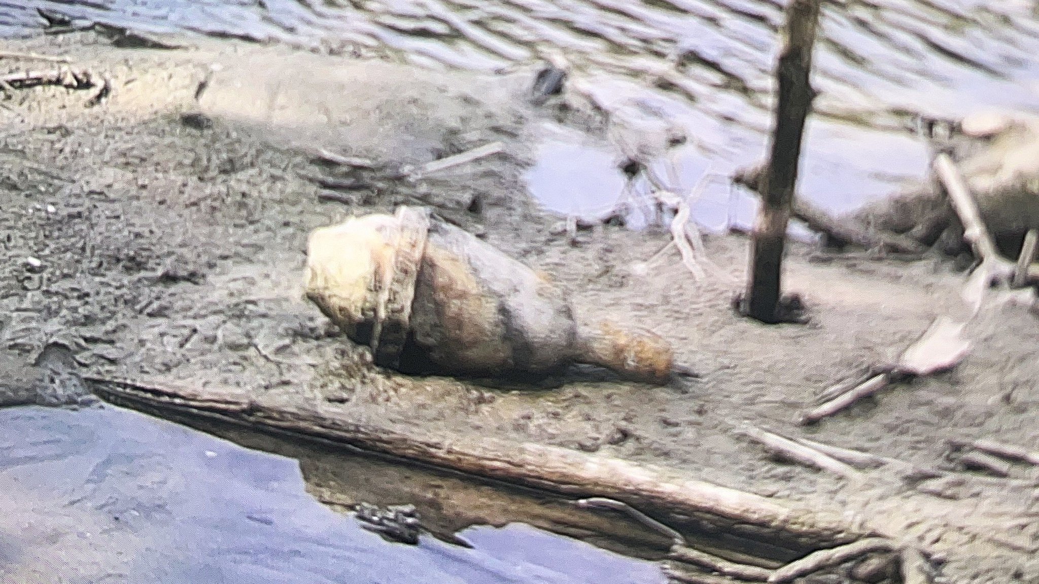 Schwimmerin entdeckt Sprengkopf einer Panzerfaust in der Paar