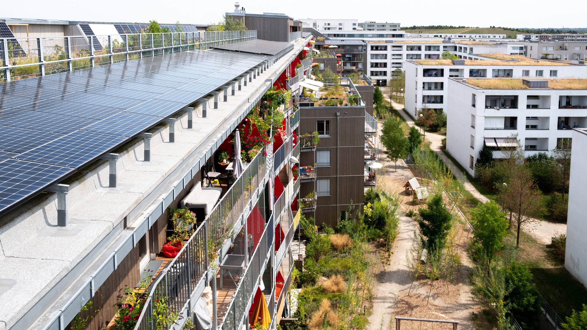 KfW streicht Darlehen: Zukunft der Baugenossenschaften ungewiss