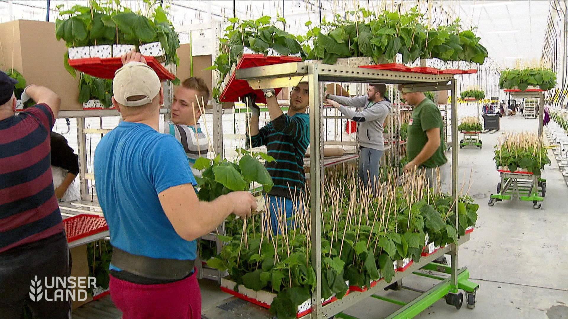 Saisonarbeiter in Bayern