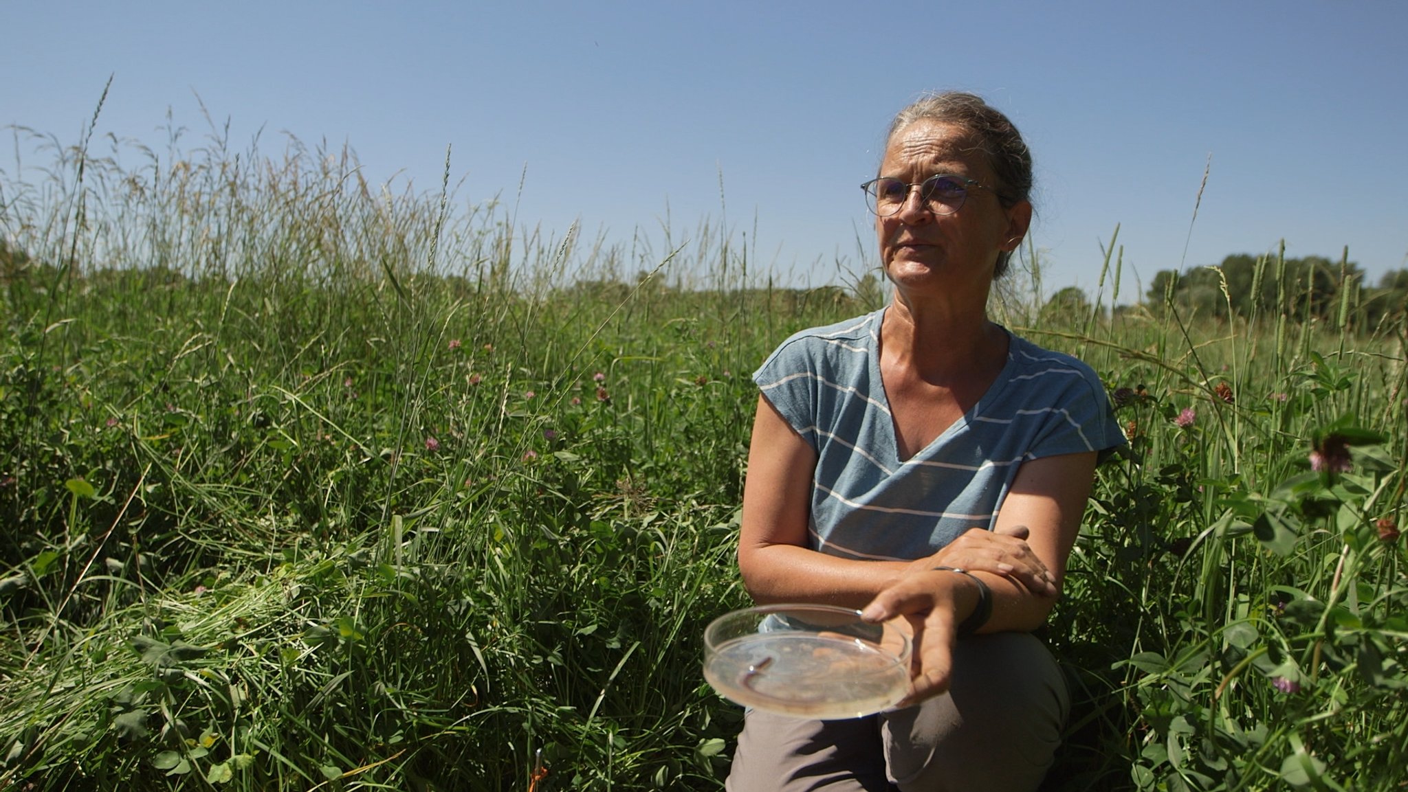 Expertin für Bodentiere: Roswitha Walter, Bayerischen Landesanstalt für Landwirtschaft