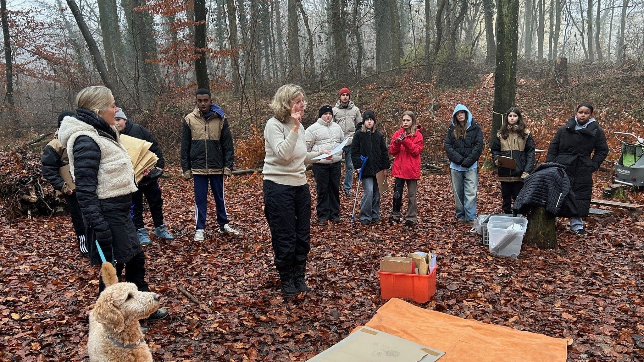 Unterricht im Wald: Die Lehrerin der Würzburger Mittelschule steht auf laubbedecktem Boden, um sie herum die Schülerinnen und Schüler sowie eine Frau mit Schulhund Lotte an der Leine. | Bild: BR / Achim Winkelmann Unterricht im Wald: Die Lehrerin der Würzburger Mittelschule steht auf laubbedecktem Boden, um sie herum die Schülerinnen und Schüler sowie eine Frau mit Schulhund Lotte an der Leine.