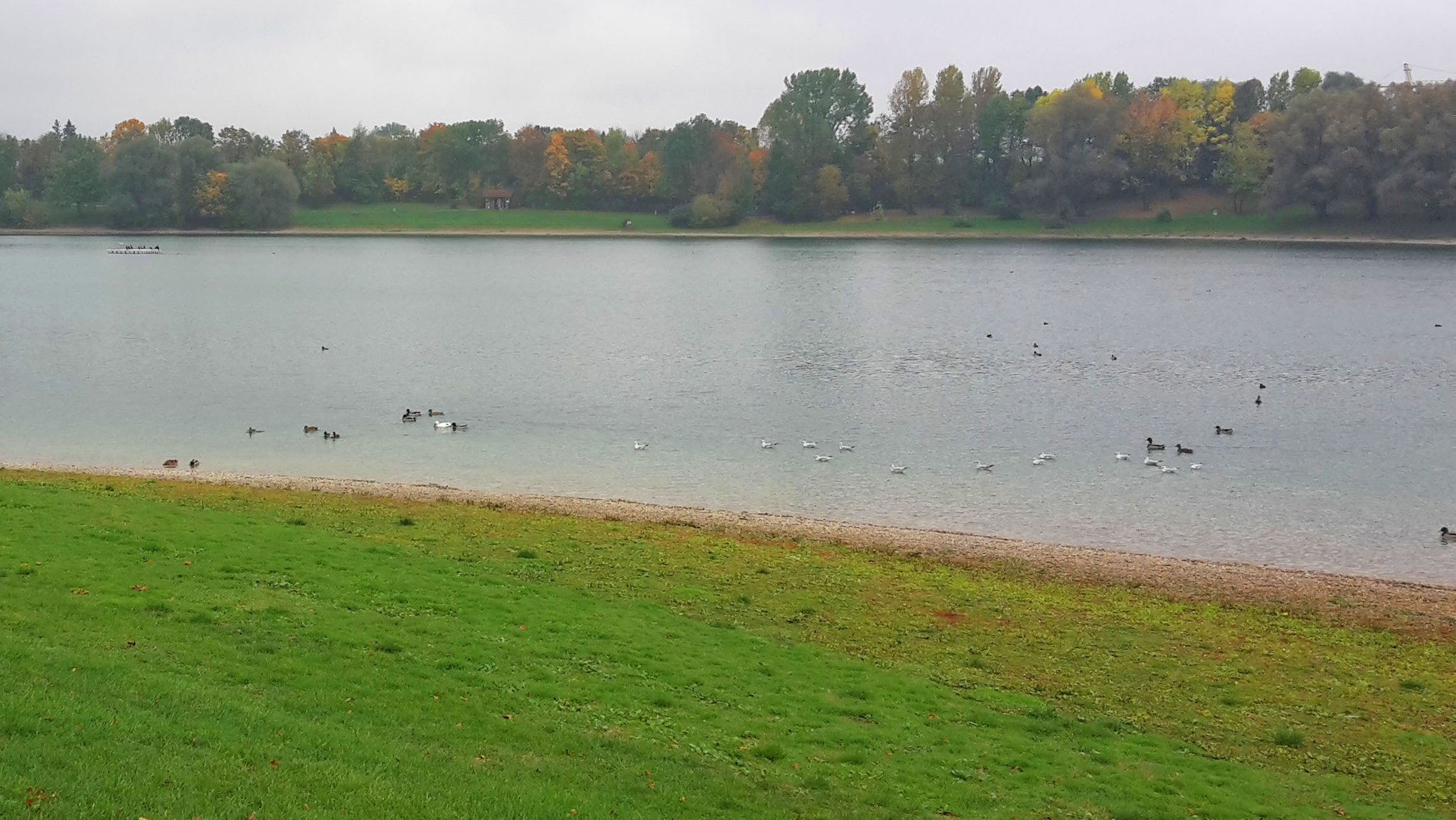 Heimstettener See zwischen Feldkirchen und Aschheim