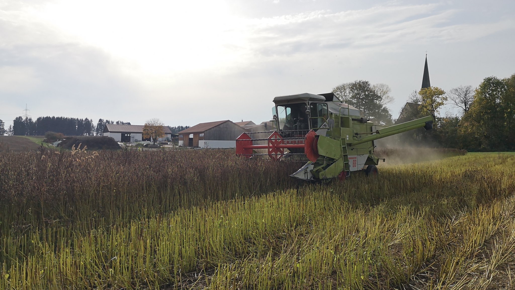 Mähdrescher erntet Chia.