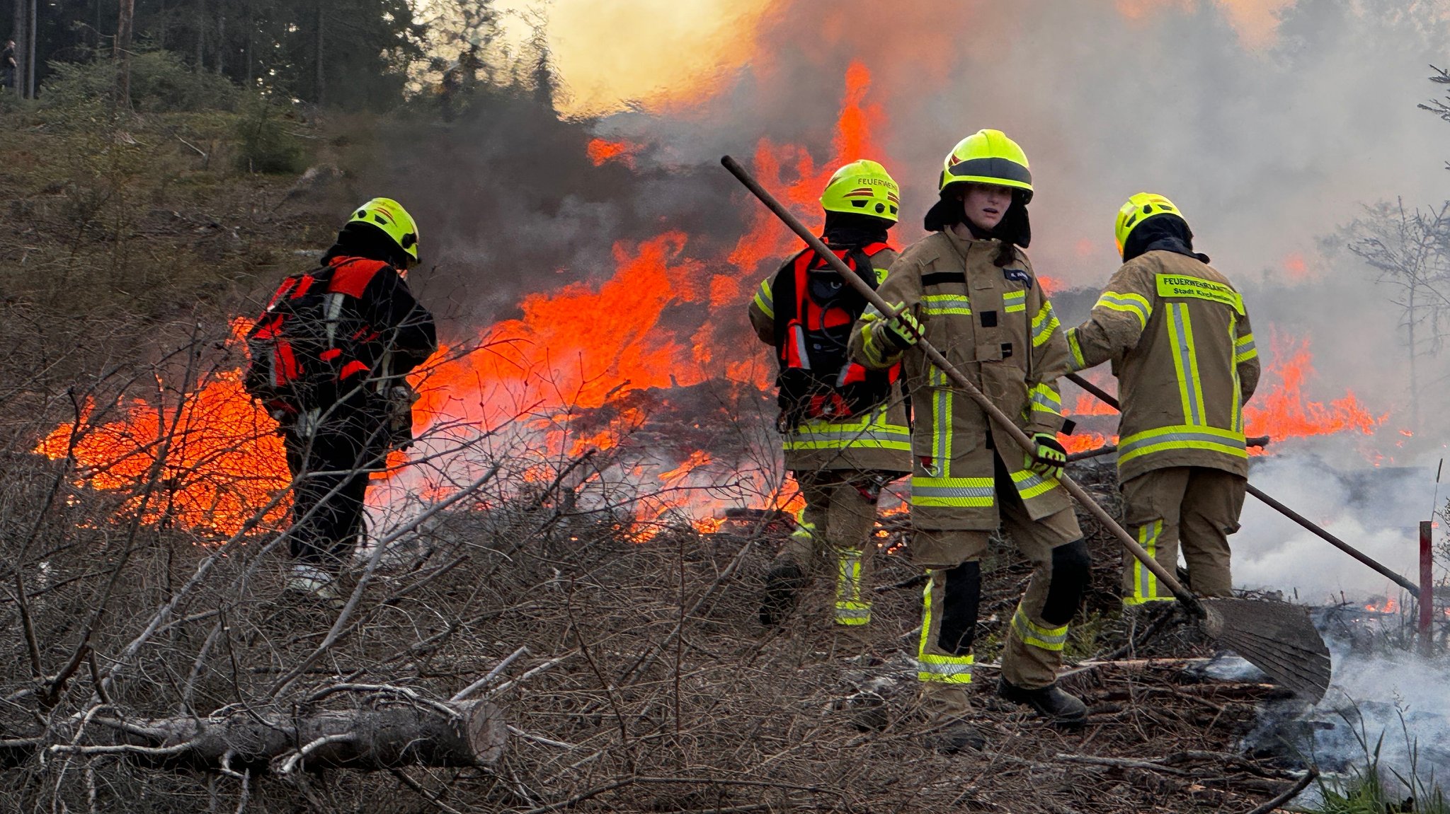 Einsatzkräfte der Feuerwehr stehen in einem brennenden Wald.