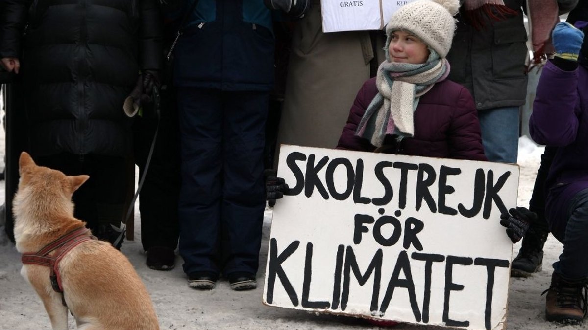 Fünf Jahre Klimaprotest: Was macht "Fridays for Future" heute?