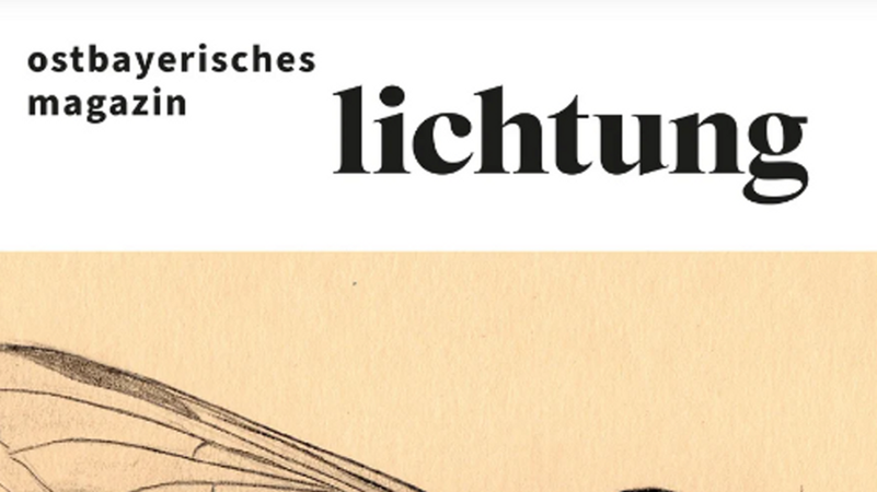 Ein Cover der regionalen Kulturzeitschrift "Lichtung". | Bild: Lichtung Verlag Ein Cover der regionalen Kulturzeitschrift "Lichtung".