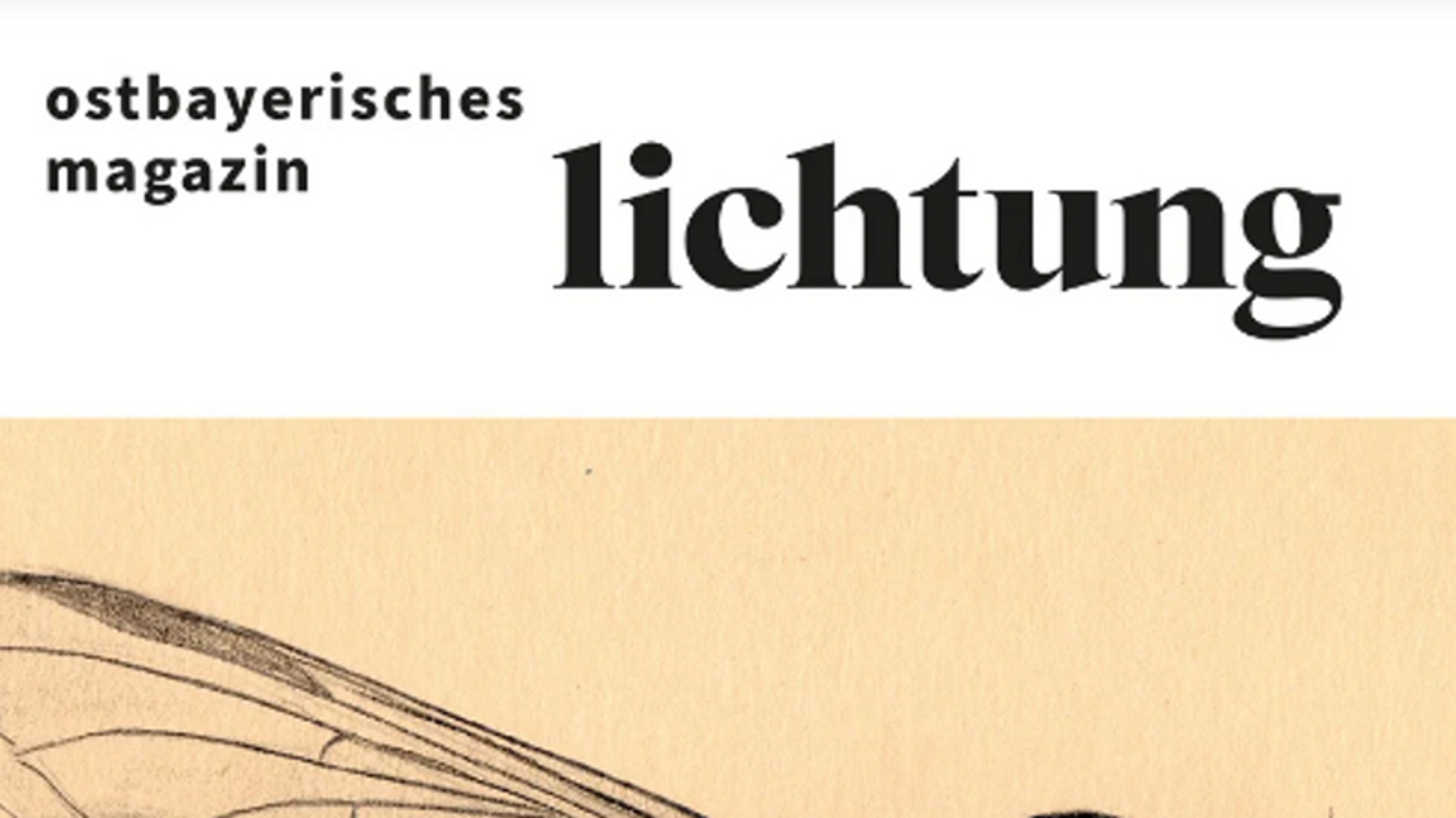 Ein Cover der regionalen Kulturzeitschrift "Lichtung".