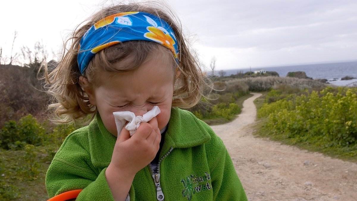 Kleines Mädchen niest  in ein Taschentuch. Symbolbild für Pollenflug und Heuschnupfen.