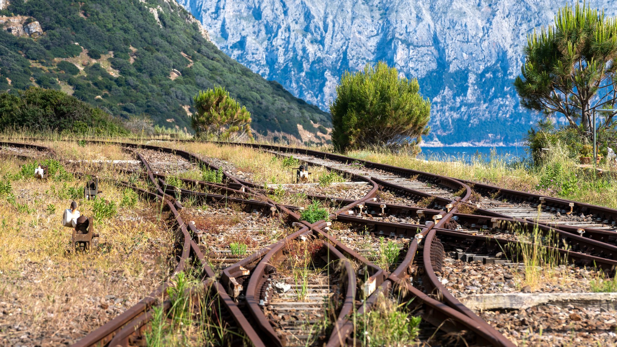 Sieben Weichen sind auf der Strecke zwischen Giesing und Holzkirchen beschädigt. Deswegen fahren auf dem Abschnitt keine Züge mehr (Symboldbild) | Bild: stock.adobe.com/spuno Sieben Weichen sind auf der Strecke zwischen Giesing und Holzkirchen beschädigt. Deswegen fahren auf dem Abschnitt keine Züge mehr (Symboldbild)