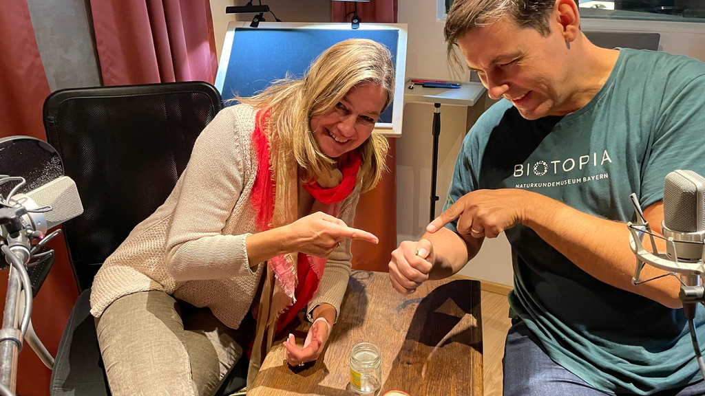 Iska Schreglmann und Dr. Thassilo Franke mit einer Wanze auf der Hand | Bild: BR Iska Schreglmann und Dr. Thassilo Franke mit einer Wanze auf der Hand
