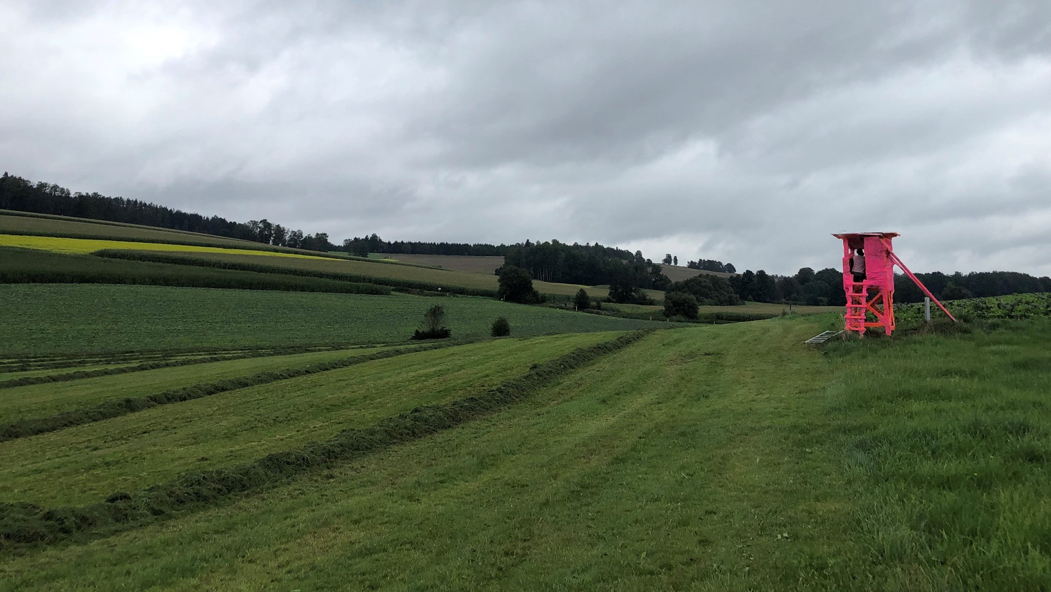 Bild von pinkem Hochsitz in Landschaft 