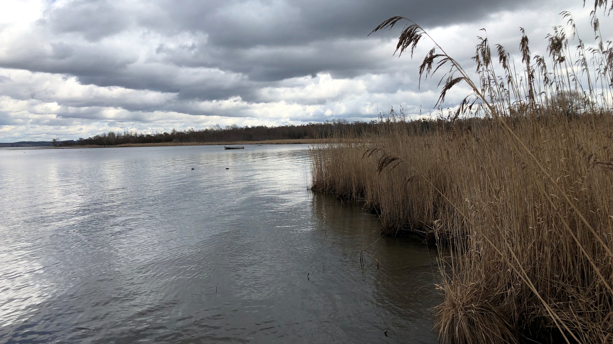 Naturschutz am Chiemsee immer noch ohne Plan