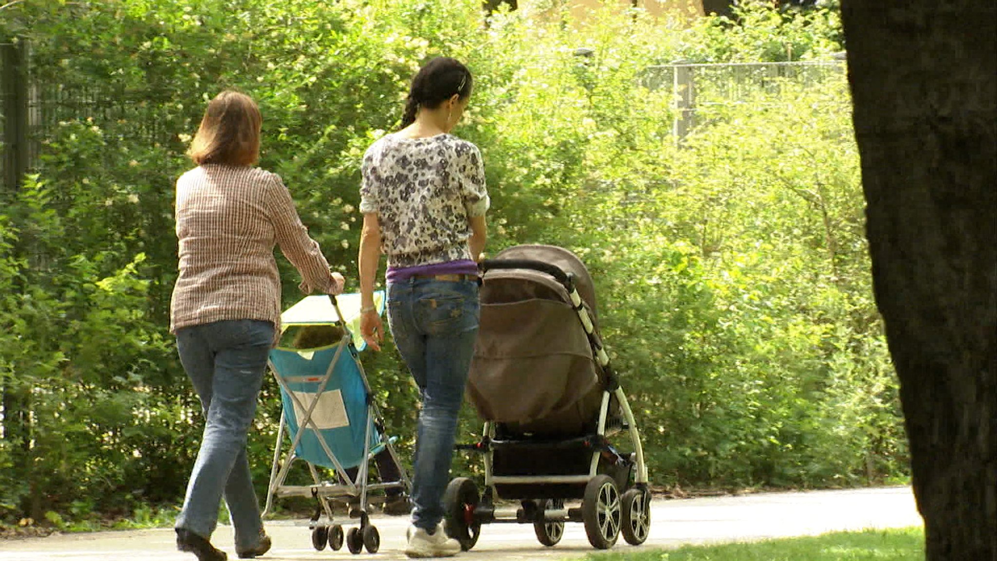 Zwei Mütter schieben zwei Kinderwagen durch einen Park