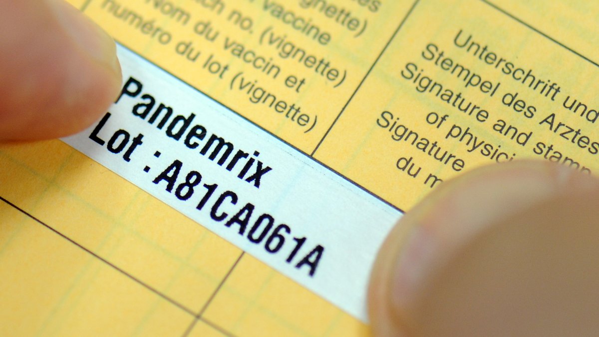 Impfpass mit Aufkleber "Pandemrix" für den Grippeimpfstoff.