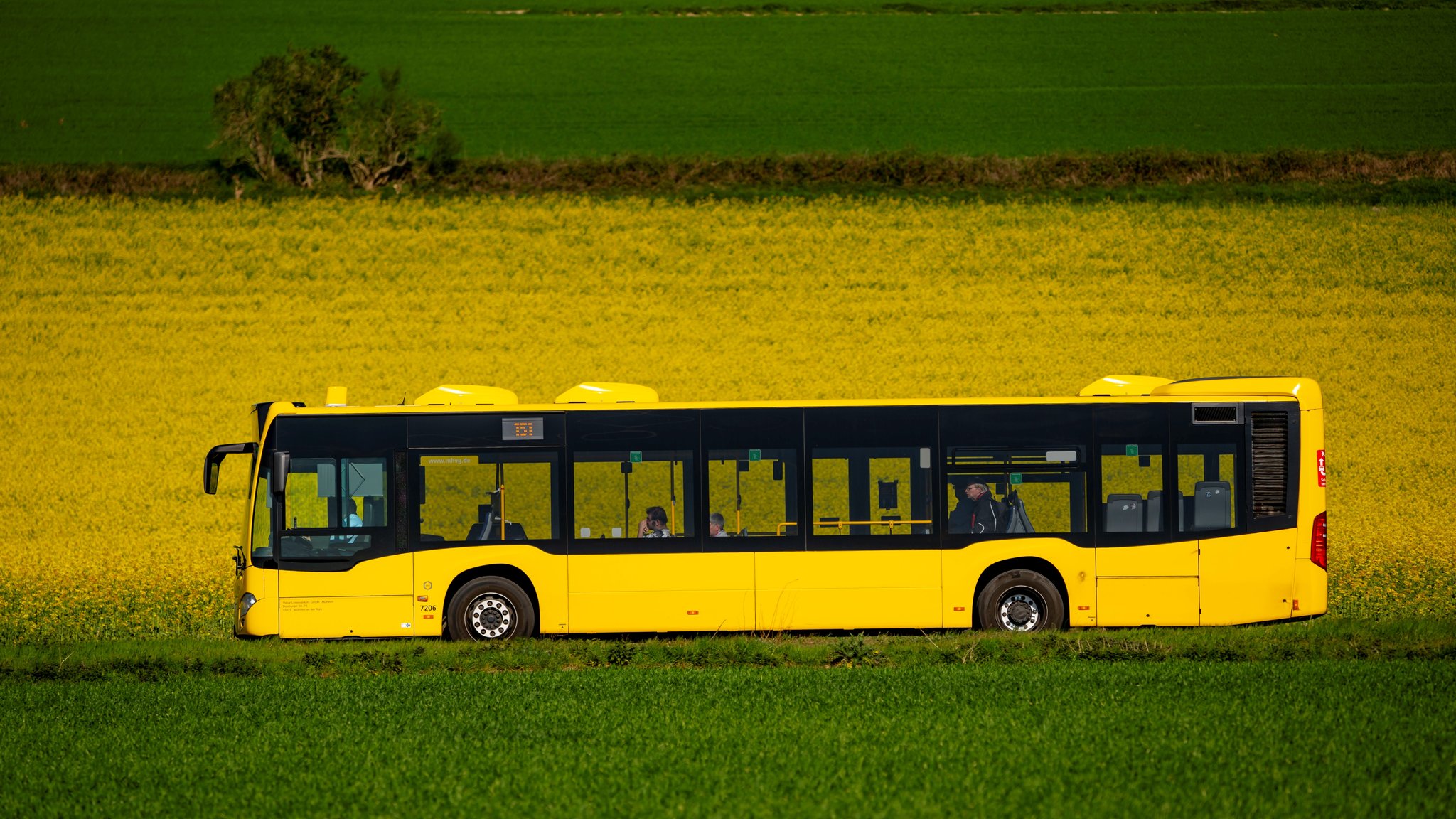 Schulbub auf Irrfahrt: Er war in den falschen Bus gestiegen (Symbolbild)