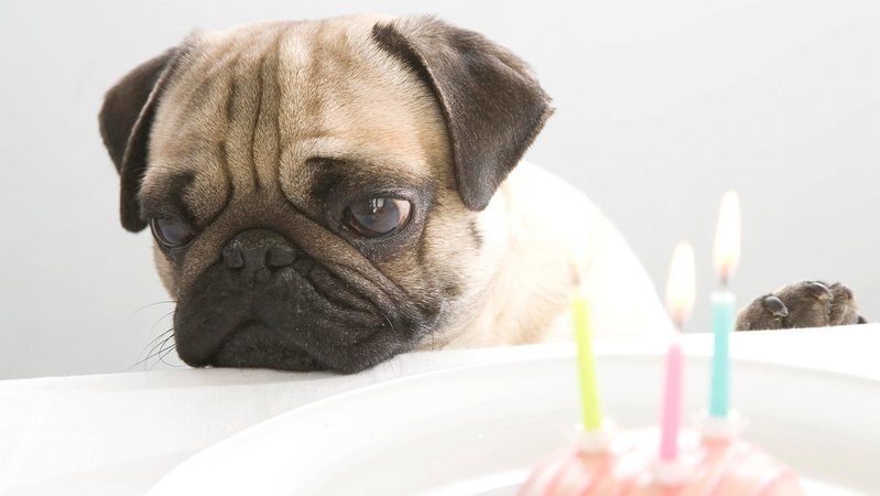 "Stumme Kerzen lachen nicht" | Bild: BR "Stumme Kerzen lachen nicht"