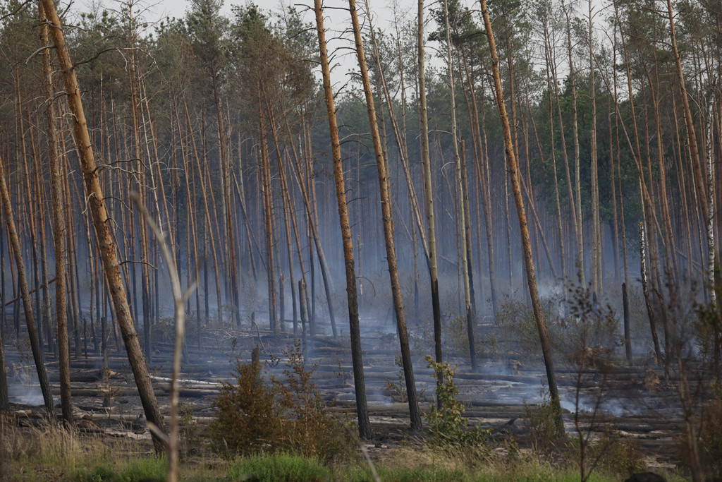 Der Waldbrand bei Treuenbrietzen wurde durch starke Winde angefacht. Der Klimawandel schafft Voraussetzungen für verheerendere Feuer. 