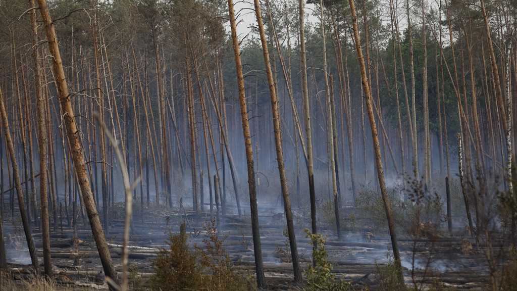 Der Waldbrand bei Treuenbrietzen wurde durch starke Winde angefacht. Der Klimawandel schafft Voraussetzungen für verheerendere Feuer. 