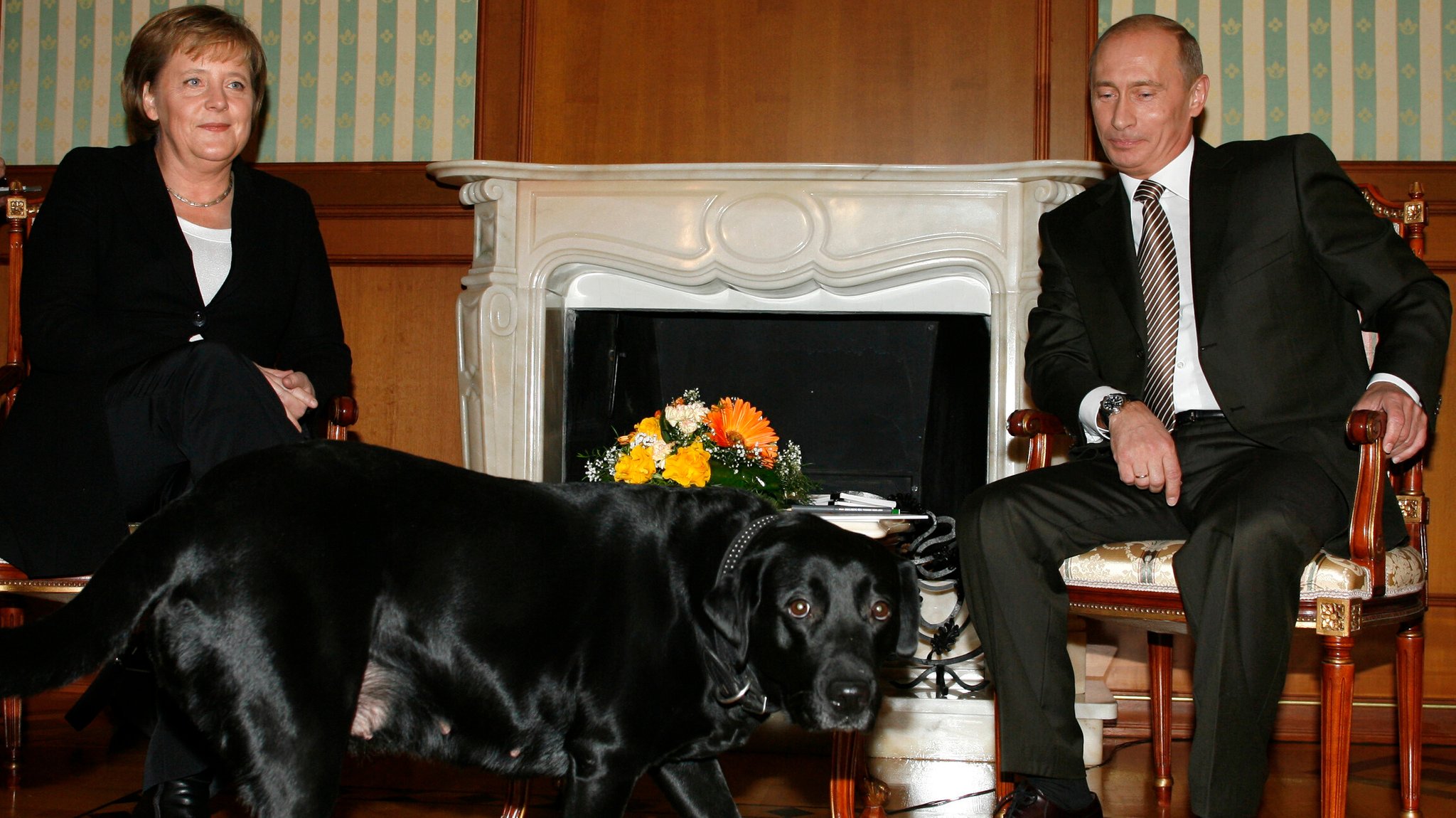 (Archivbild) 2007 im Kreml: Angela Merkel, Wladimir Putin und sein Hund Koney | Bild: picture-alliance/ dpa | epa Sergei Chirikov (Archivbild) 2007 im Kreml: Angela Merkel, Wladimir Putin und sein Hund Koney