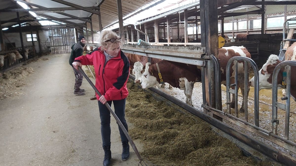 Milch-Bring-Dienst an die Haustür: Neue Kunden durch ...