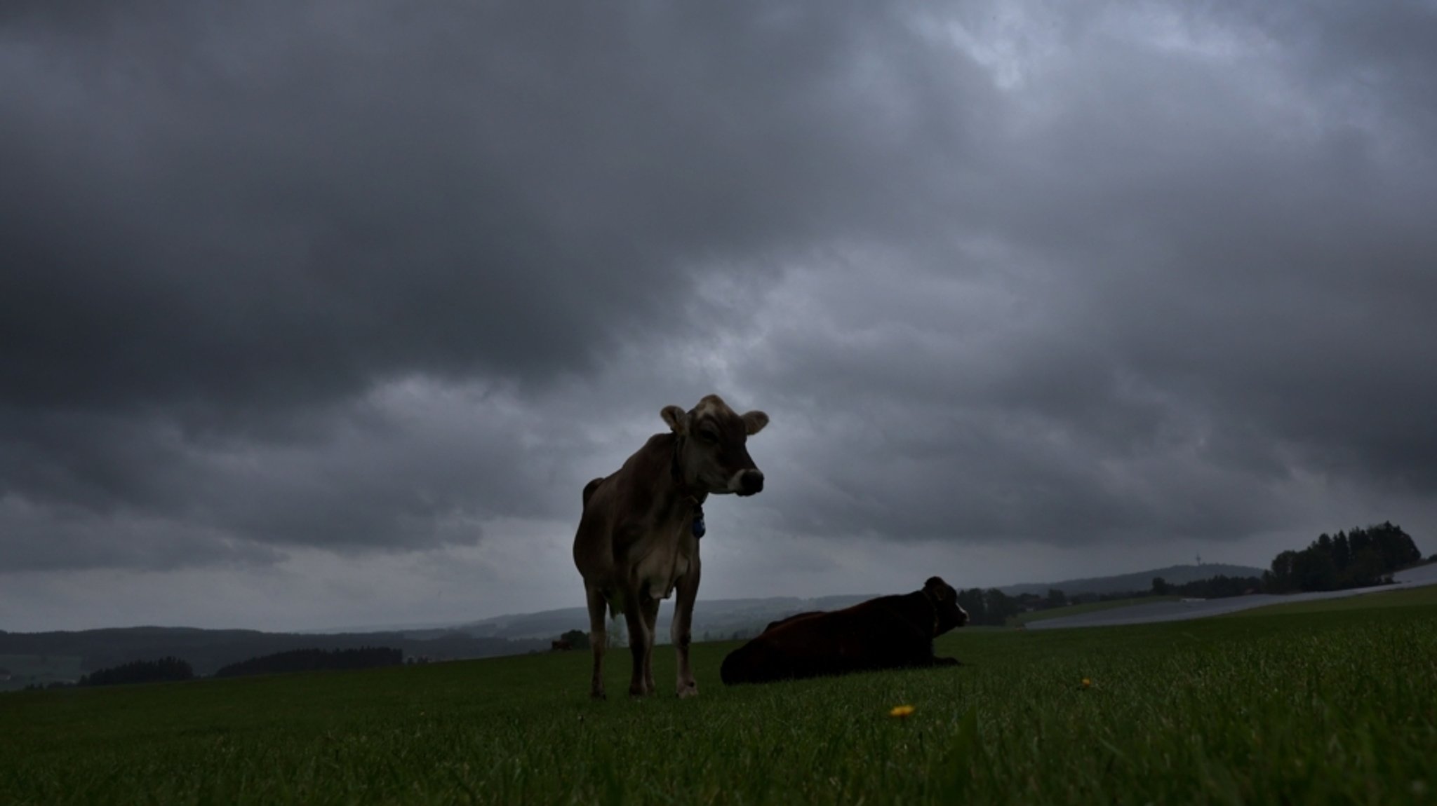 Gewitter und Schauer: Der Sommer macht Pause – kommt aber zurück