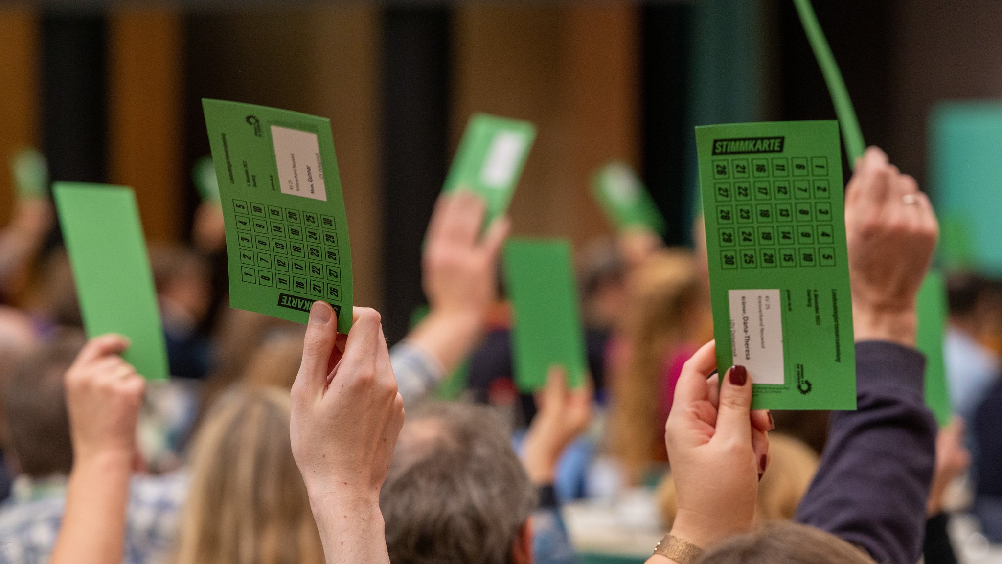 Auch die Grünen werden sich auf ihrem Bundesparteitag mit den Haushalt  befassen müssen