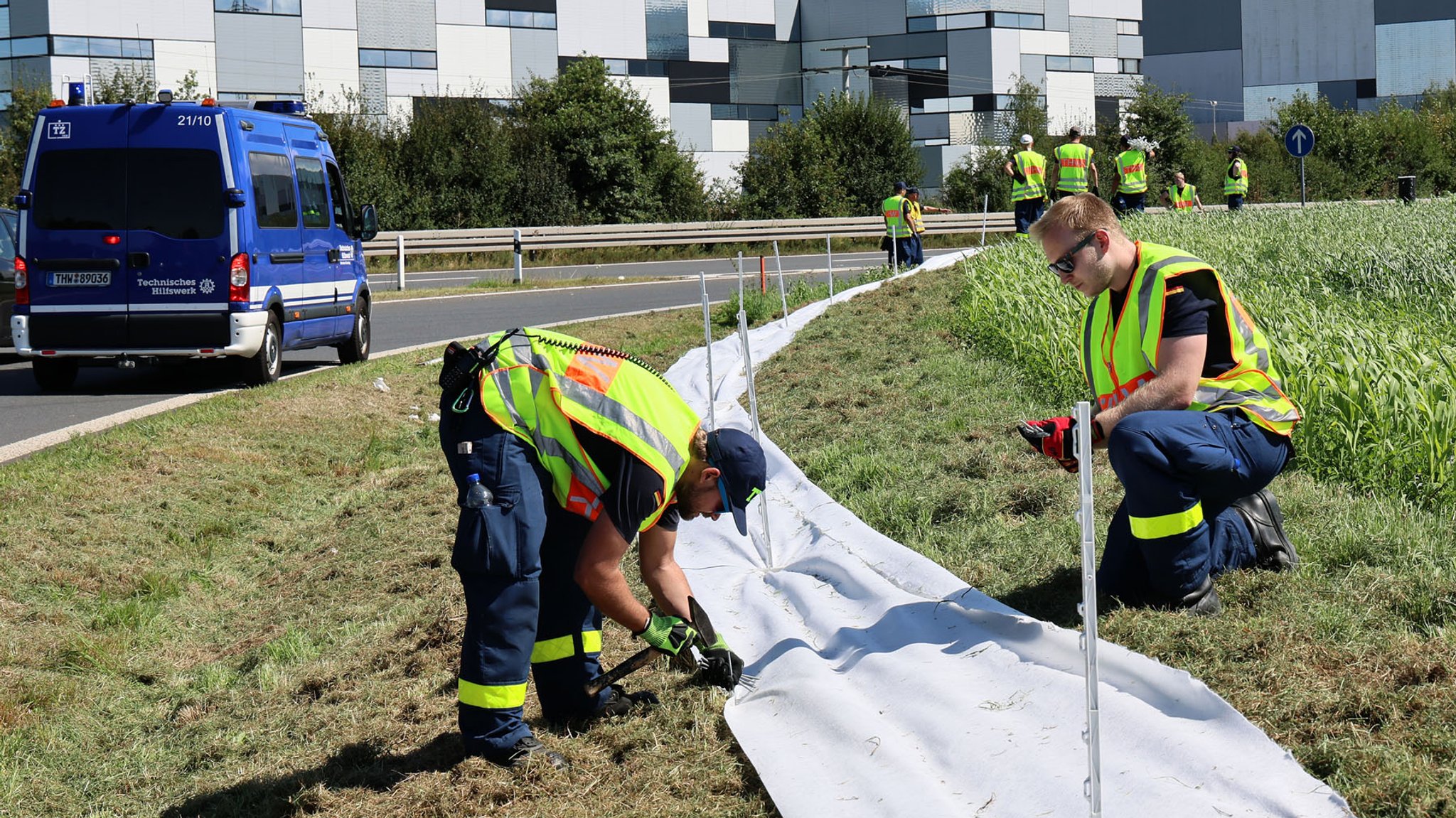 THW-Helfer errichten einen Elektrozaun an der B469, um infizierte Wildscheine aufzuhalten.