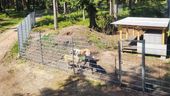 Das "luxuriöse" Gehege für die Herdenschutzhunde im Wildpark Mehlmeisel. | Bild:Wildpark Waldhaus Mehlmeisel