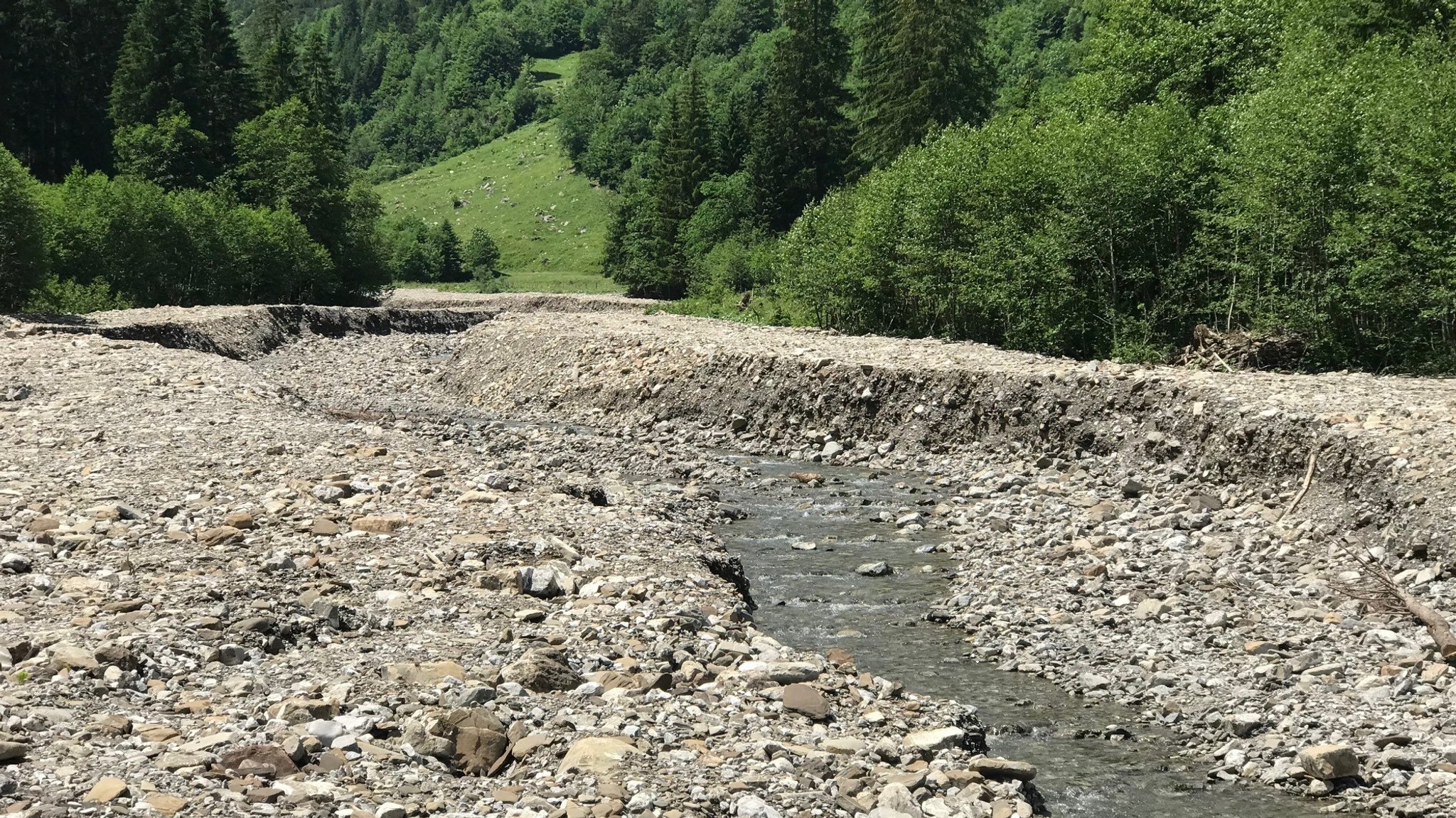 24.06.2023, Rappenalptal - Der im Oktober 2022 ausgebaggerte Rappenalpbach bei Oberstdorf Ende Juni 2023. 