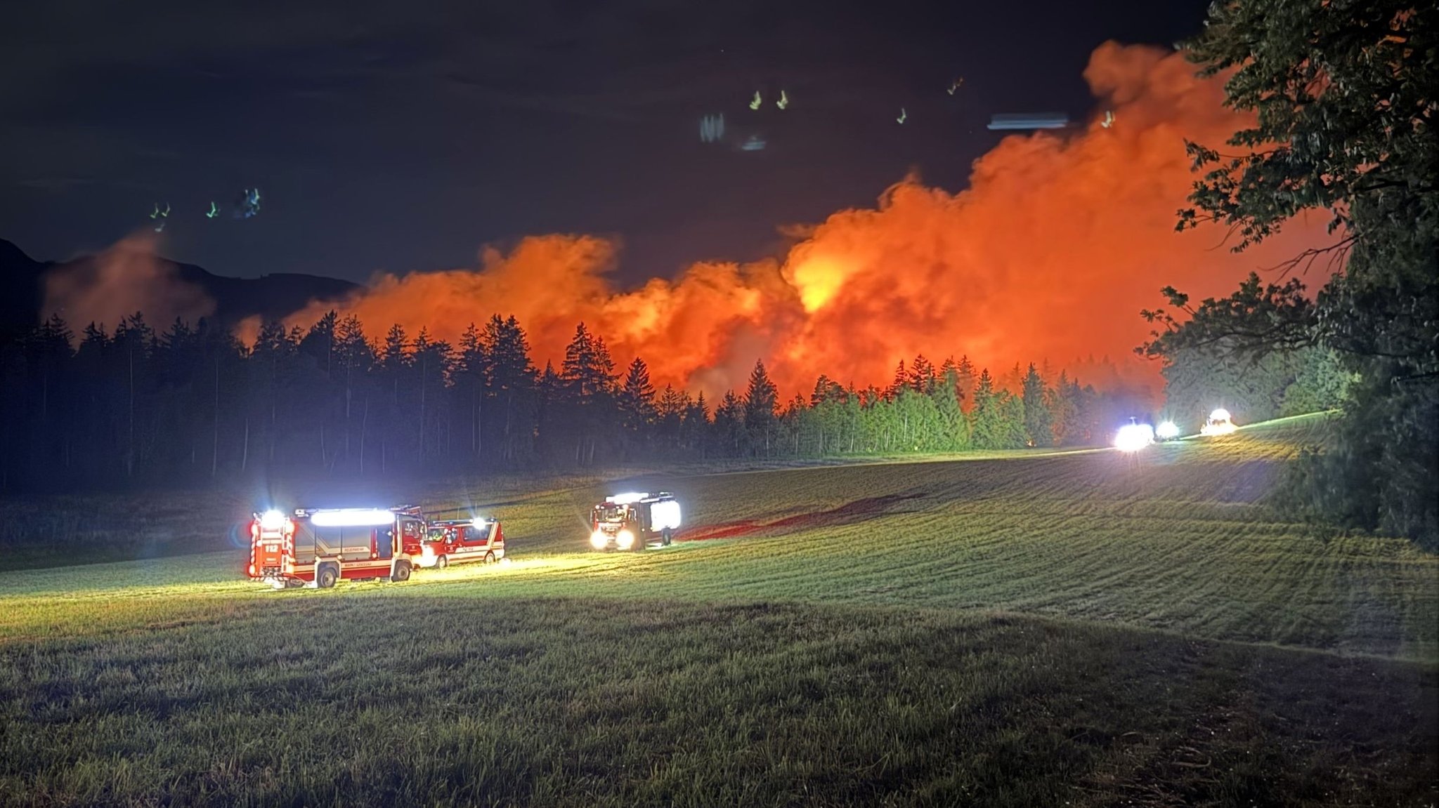Der Waldbrand am Chiemsee in der vergangenen Nacht