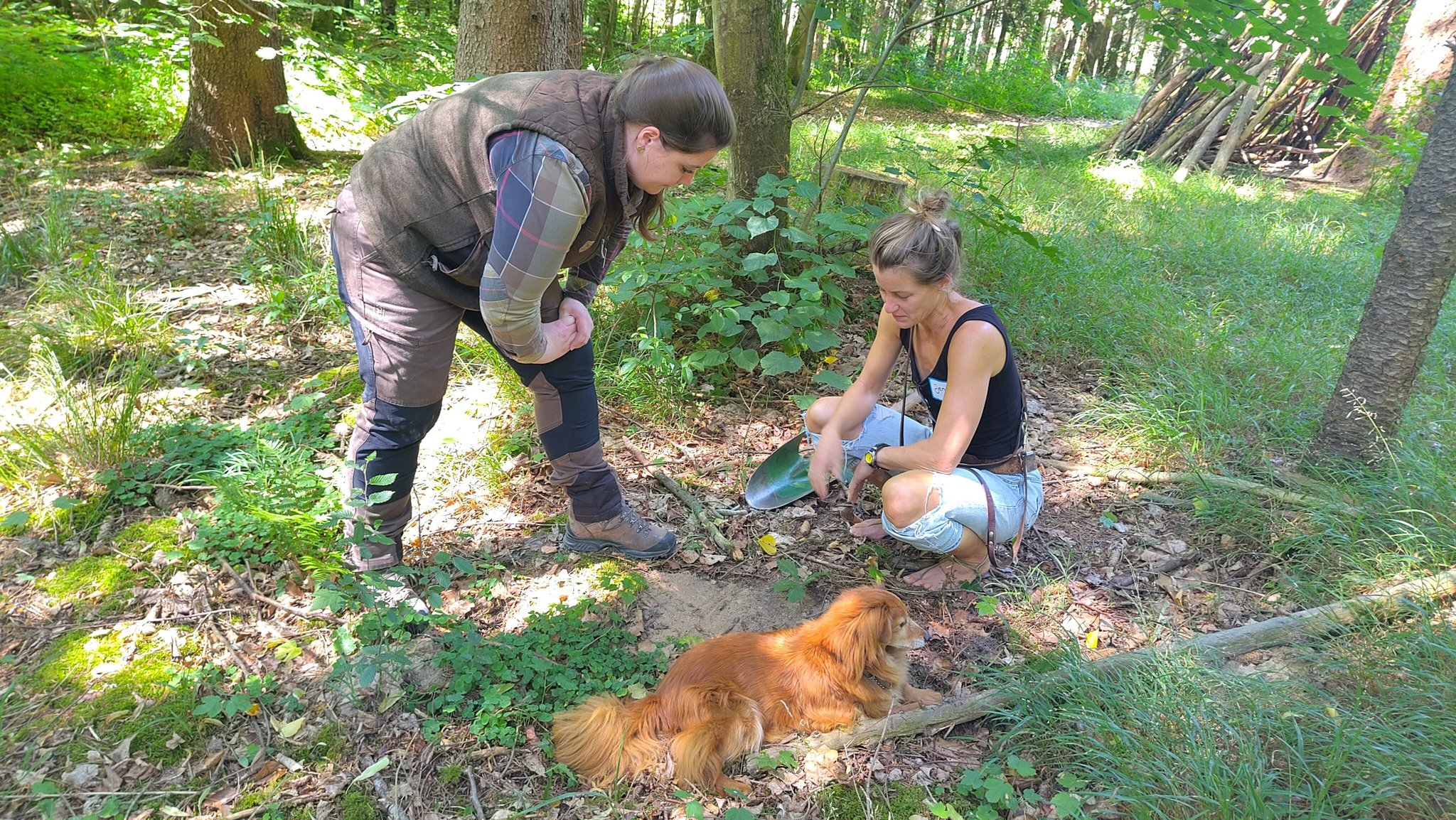 Warum Frauen oft Wald besitzen, aber nicht selbst bewirtschaften. | Bild: BR / Eva Behringer Warum Frauen oft Wald besitzen, aber nicht selbst bewirtschaften.