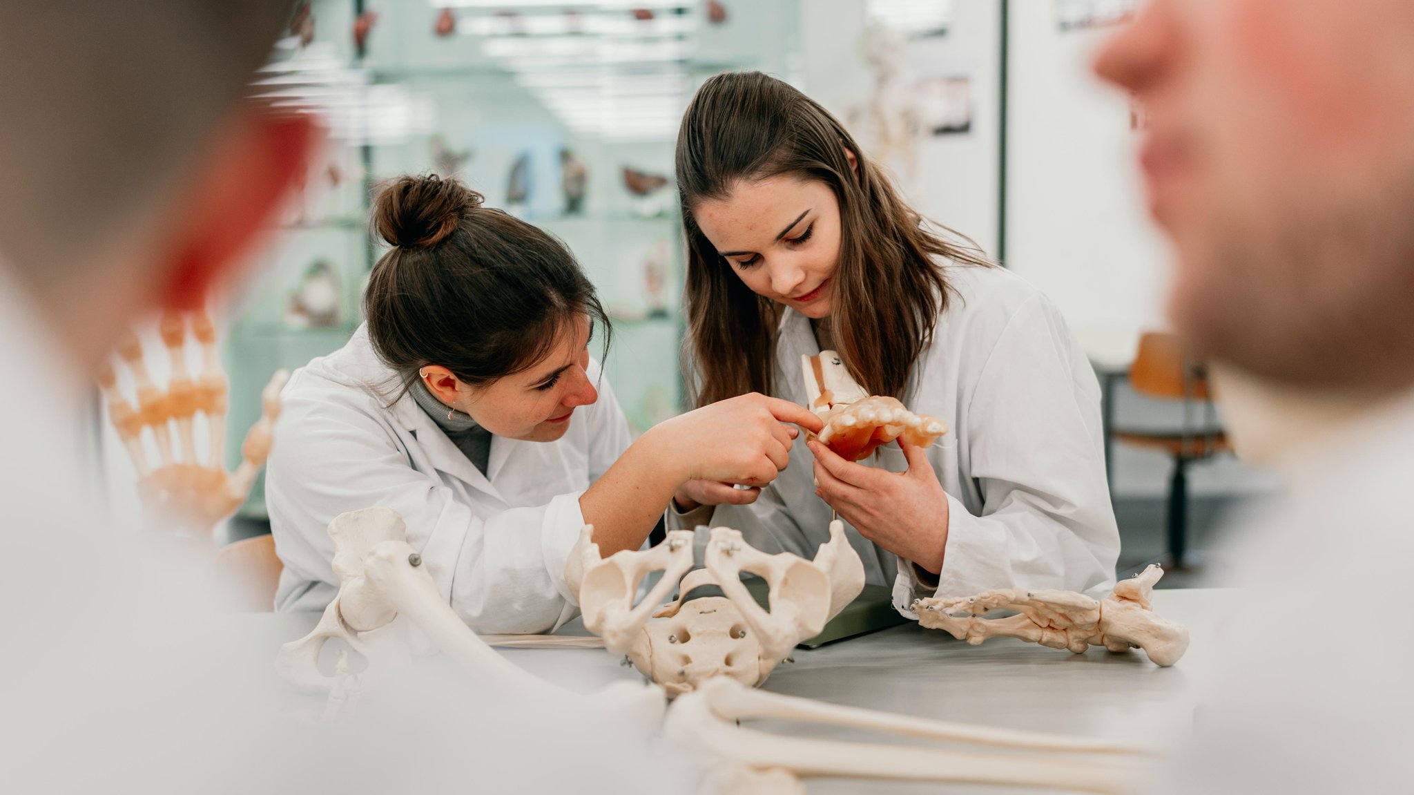 Studentinnen an einem Modell